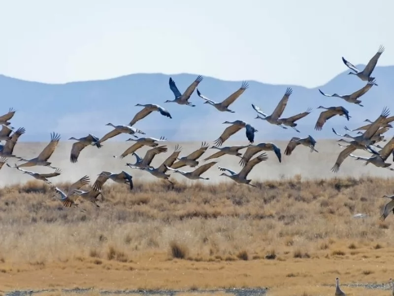 Wine and Birding Destinations That Shouldn’t Fly Under Your Radar