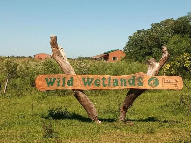 Wild Wetlands