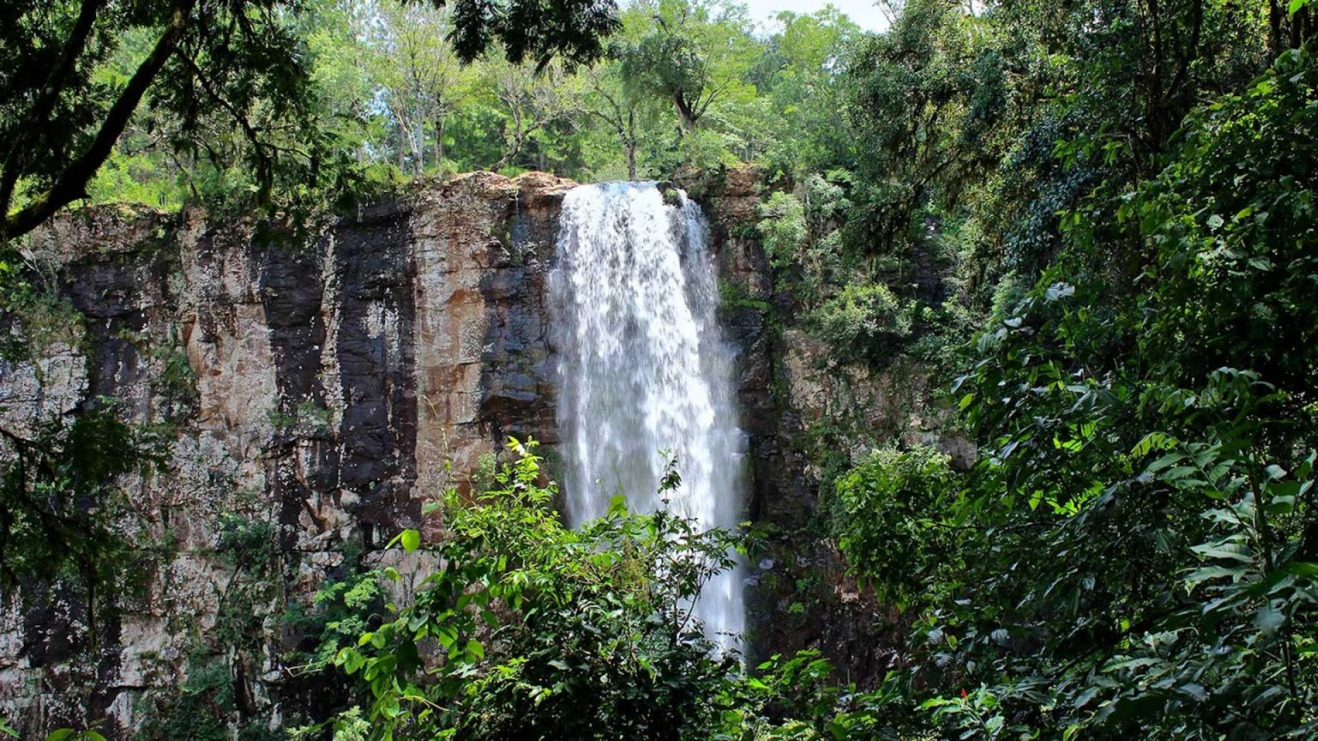 MATA ATLÁNTICA EXTENSION
