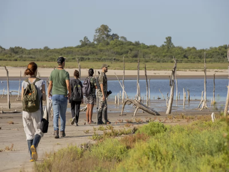MIRAMAR DE ANSENUZA - THE BIRDING